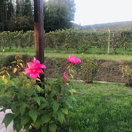 Guest house Cascina Dani 3*
